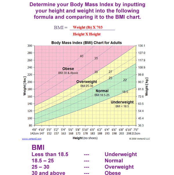 Calculate Your BMI – Heartscan Services