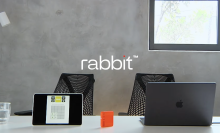 Rabbit AI