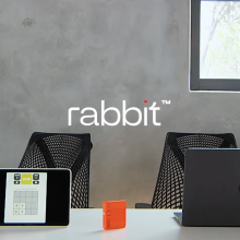 Rabbit AI