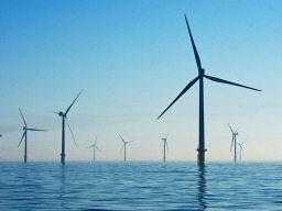 Wind turbines standing in a body of water. 