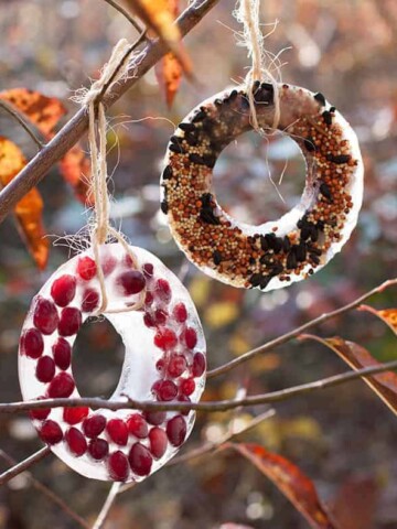 Birdseed Ornaments | Hello Glow