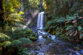 Waterfalls in Geelong