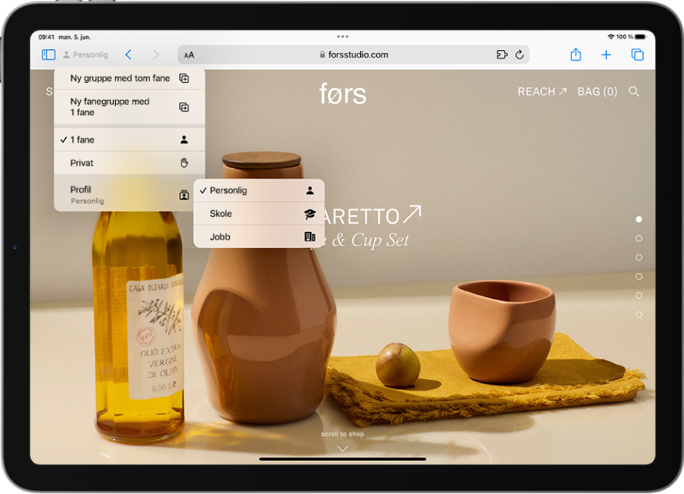 I Safari vises Fanegruppe-menyen til venstre for søkefeltet. Profil er markert nederst i menyen, og en meny viser alternativene Personlig, Skole og Jobb.