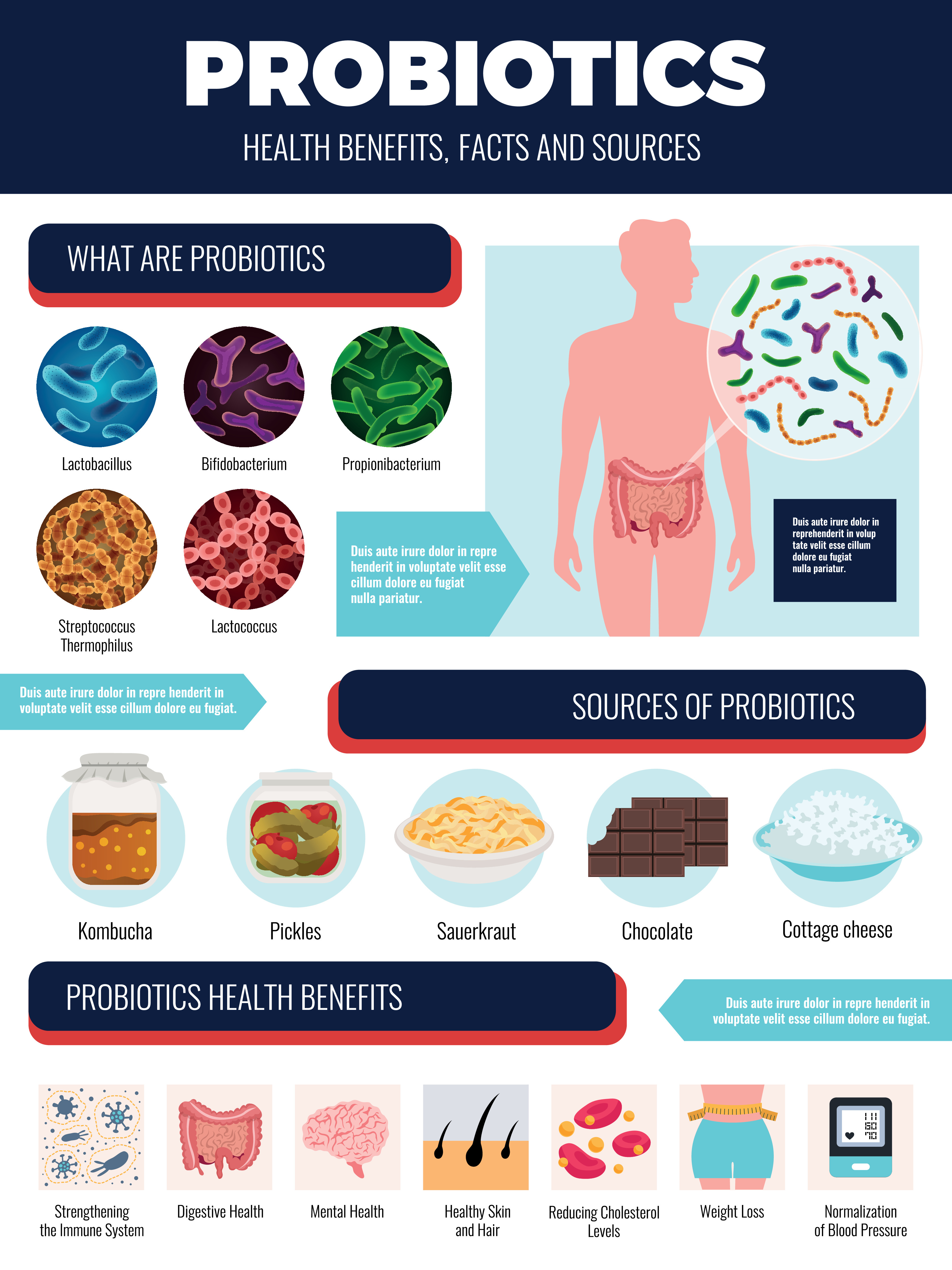 8 Health Benefits of Probiotics – Independent Health Agents