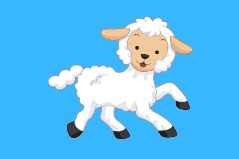 Cartoon graphic of cute lamb walking on blue background.