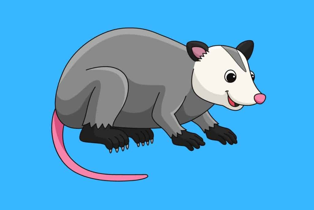 Cartoon graphic of a smiling grey possum with a white head on a blue background.