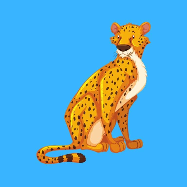 Cartoon graphic of a nice cheetah sitting on a blue background.