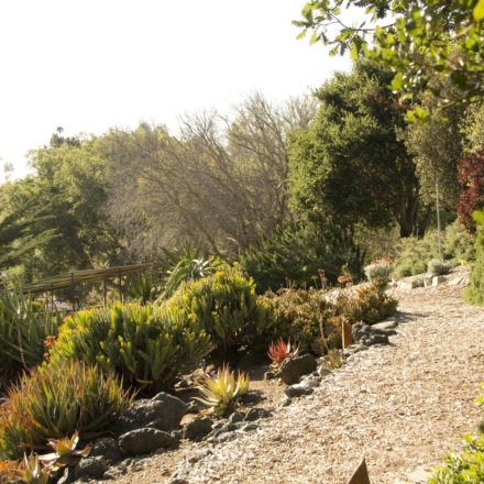 San Luis Obispo Botanical Garden