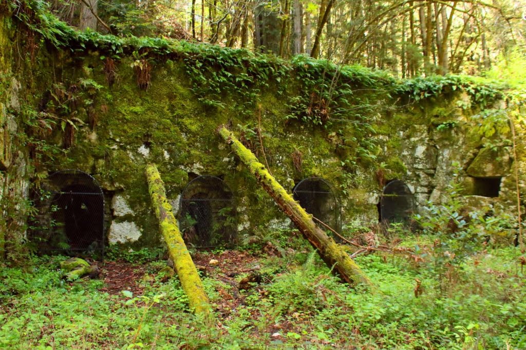 Tucked away in the Henry Cowell Redwoods State Park lays a piece Santa Cruz' crumbling history: the Pogonip Historic Limekilns.