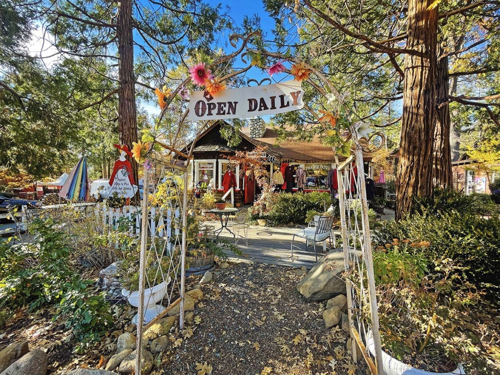 Visit Downtown Idyllwild