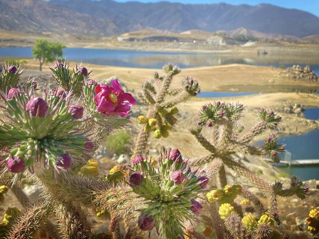 Nuui Cunni Interpretive Center