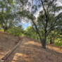 Conejo Valley Botanic Garden