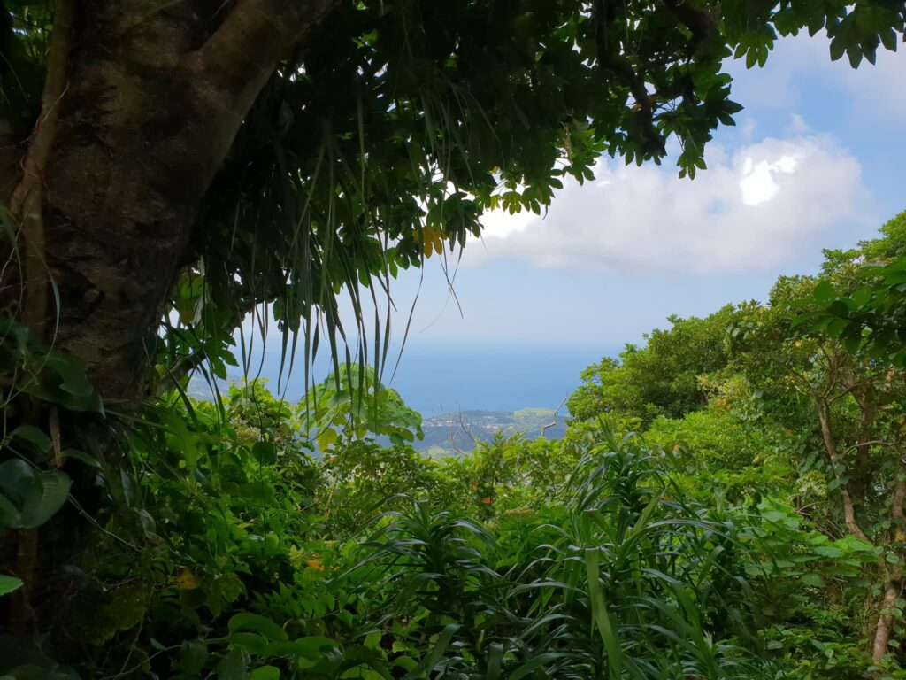 view at the summit of Mt. Iraya