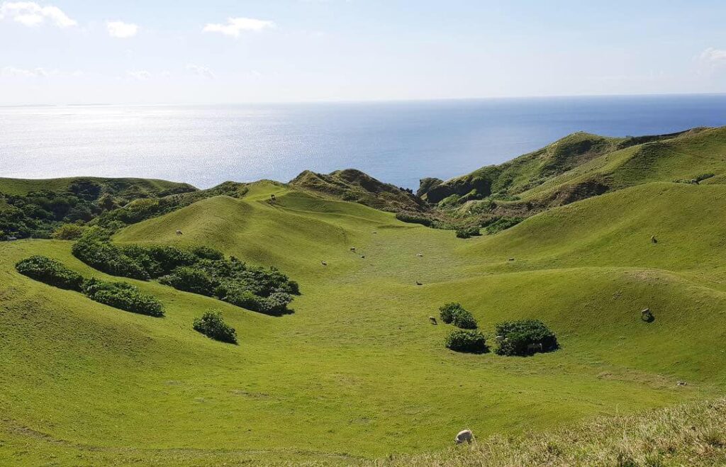 Vayang Rolling Hills