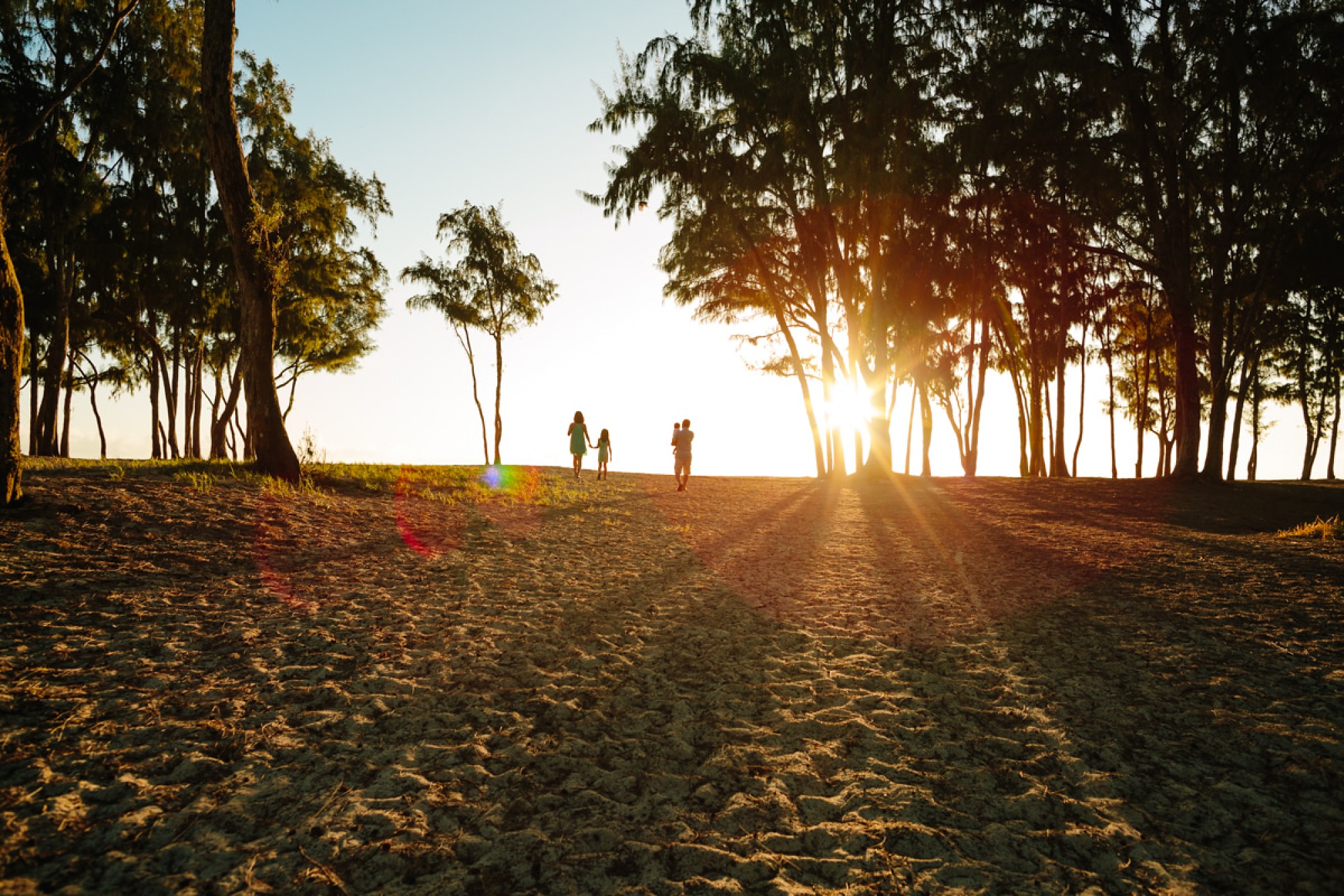 sunrise through ironwoods at sherwood beach