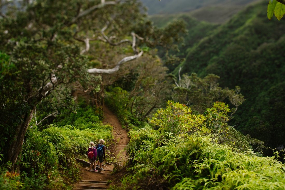 kids hiking down kuliouou ridge from the summit in oahu