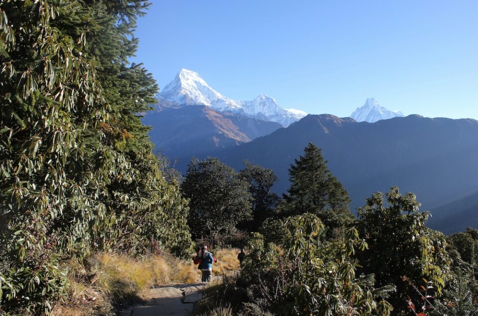 langtang trek