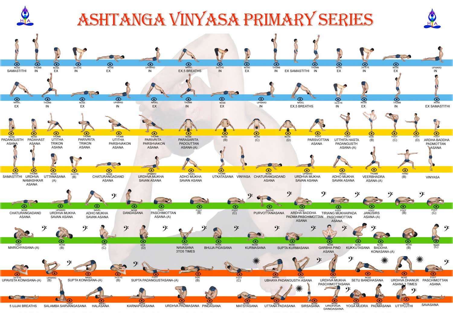 Primary Series Ashtanga