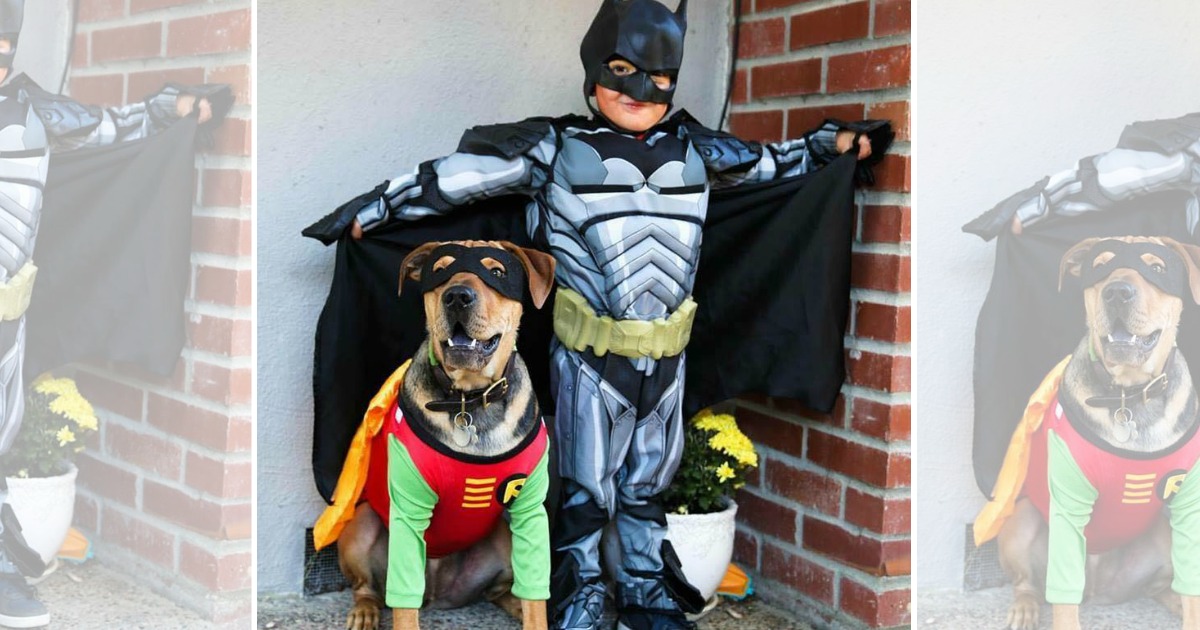 Kids Batman Costume Only $ (Regularly $25) at 