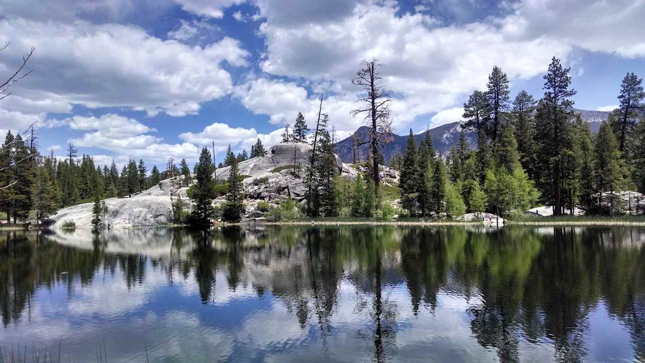 Sierra National Forest