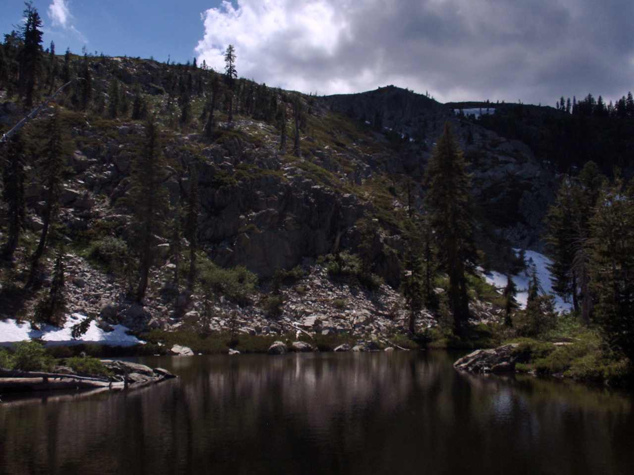 Shasta-Trinity National Forest