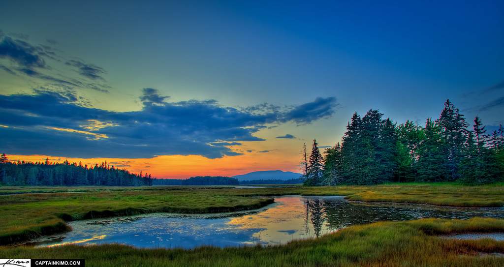 Schoodic Woods Campground