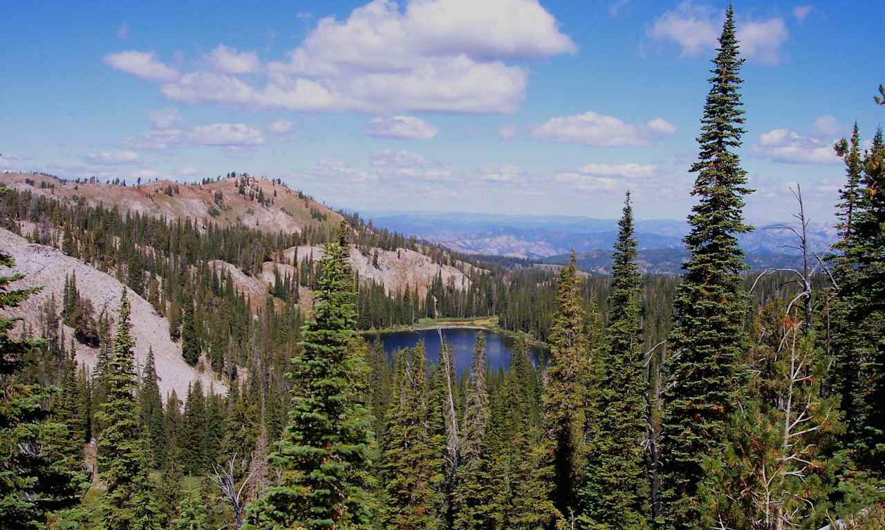 Boise National Forest