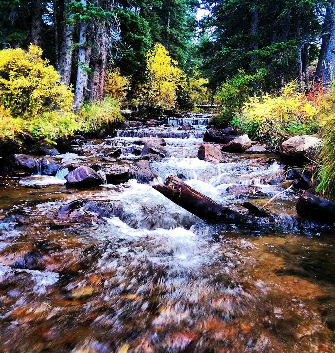 Guanella Pass Campground