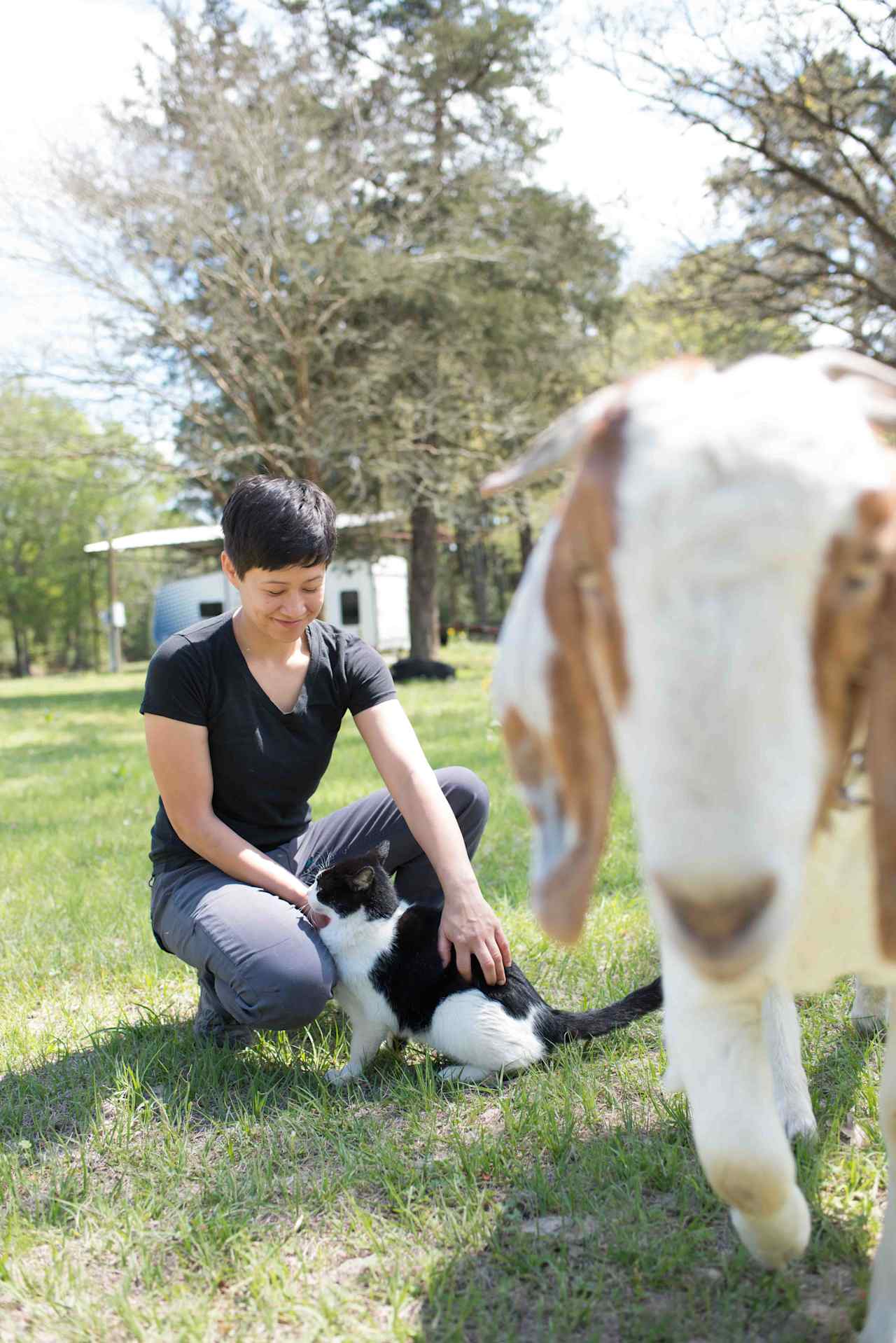 Got photobombed by a goat wanting loves!