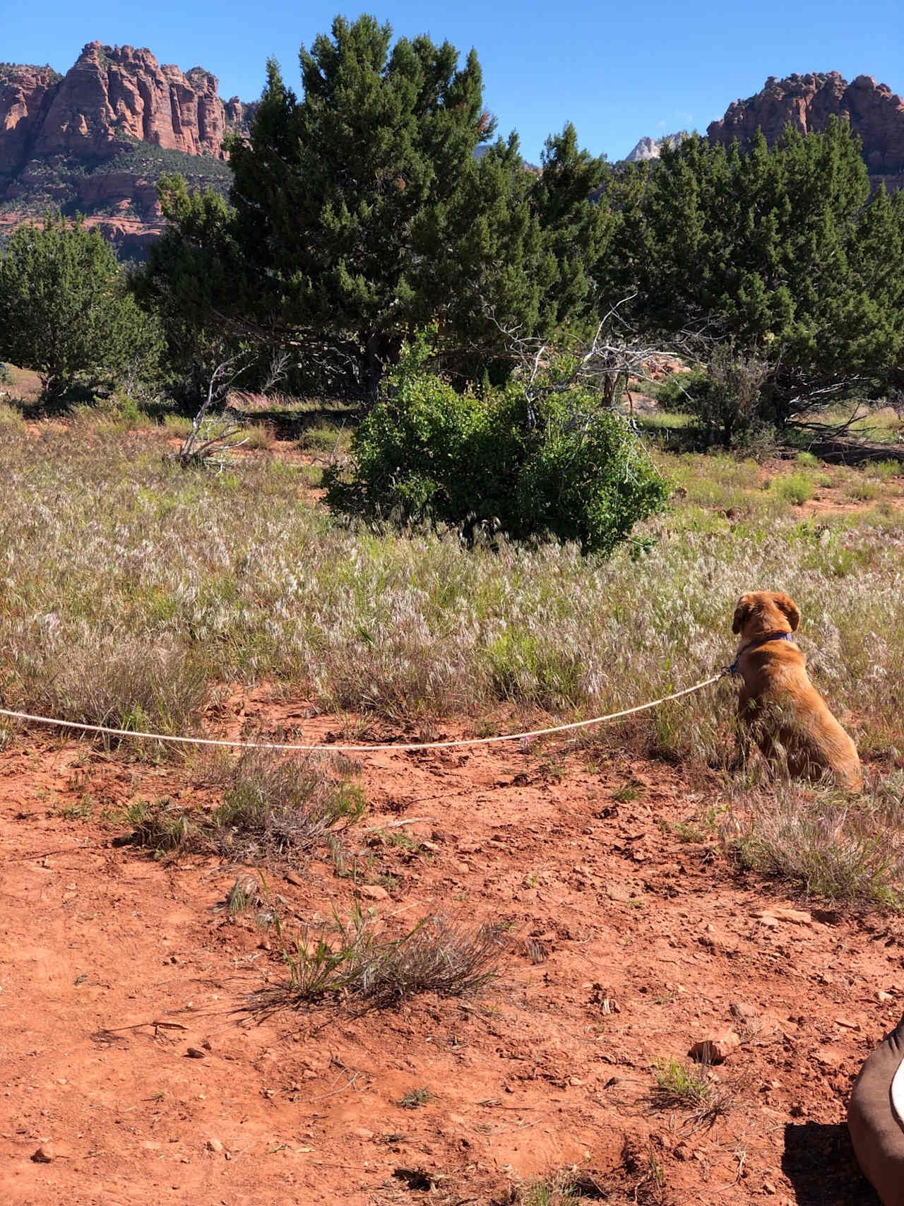 Scout was awe struck at the beauty.