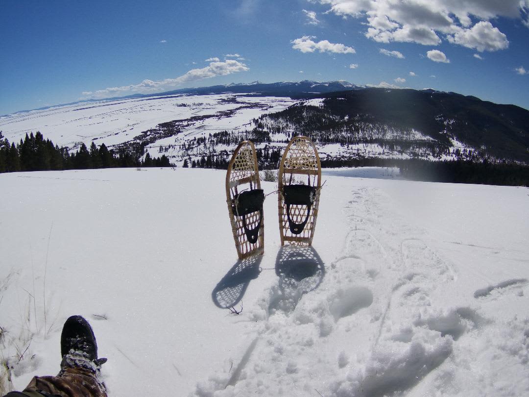 ski or sledding hill behind house