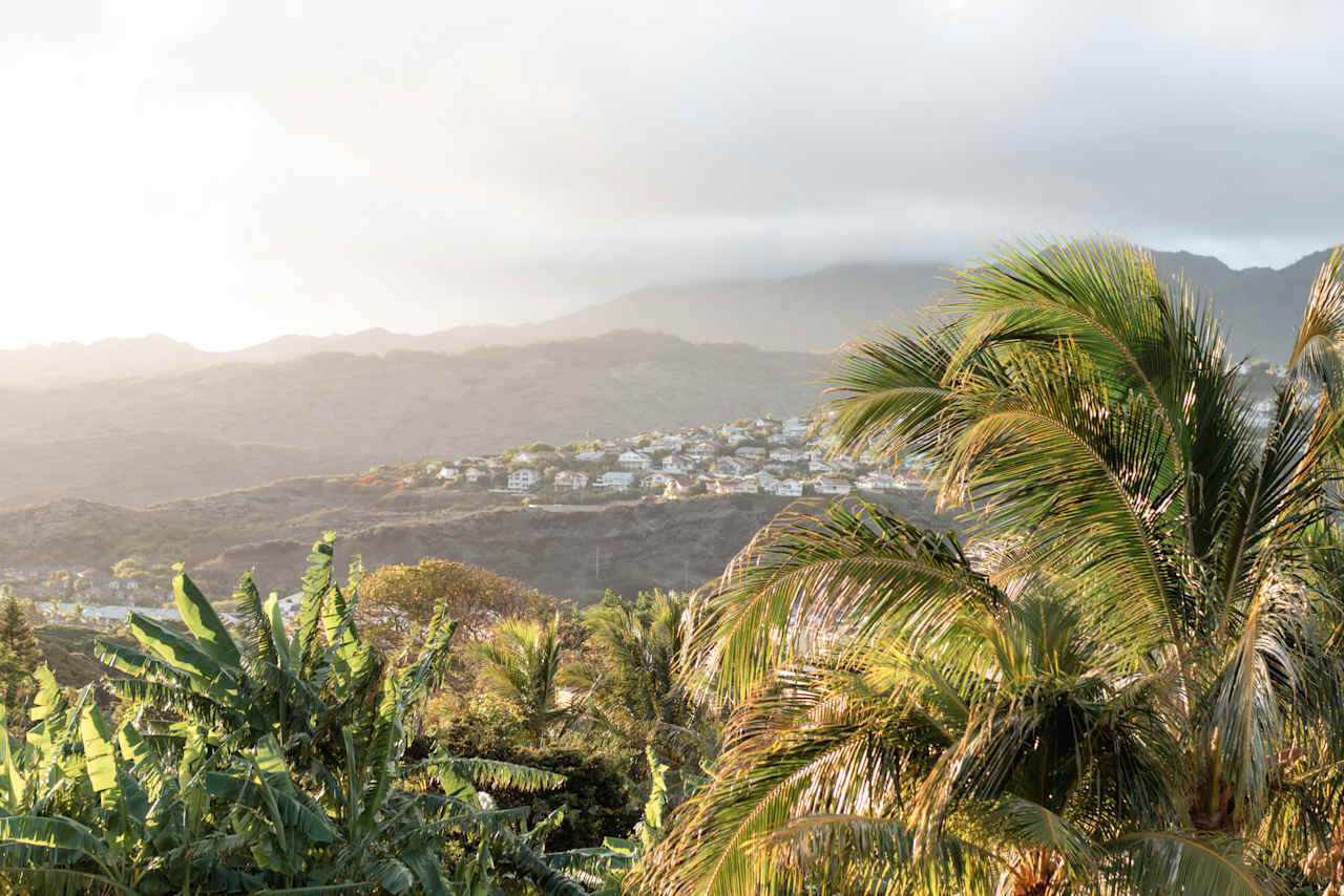 Sun Farm Hawaii @ Koko Head