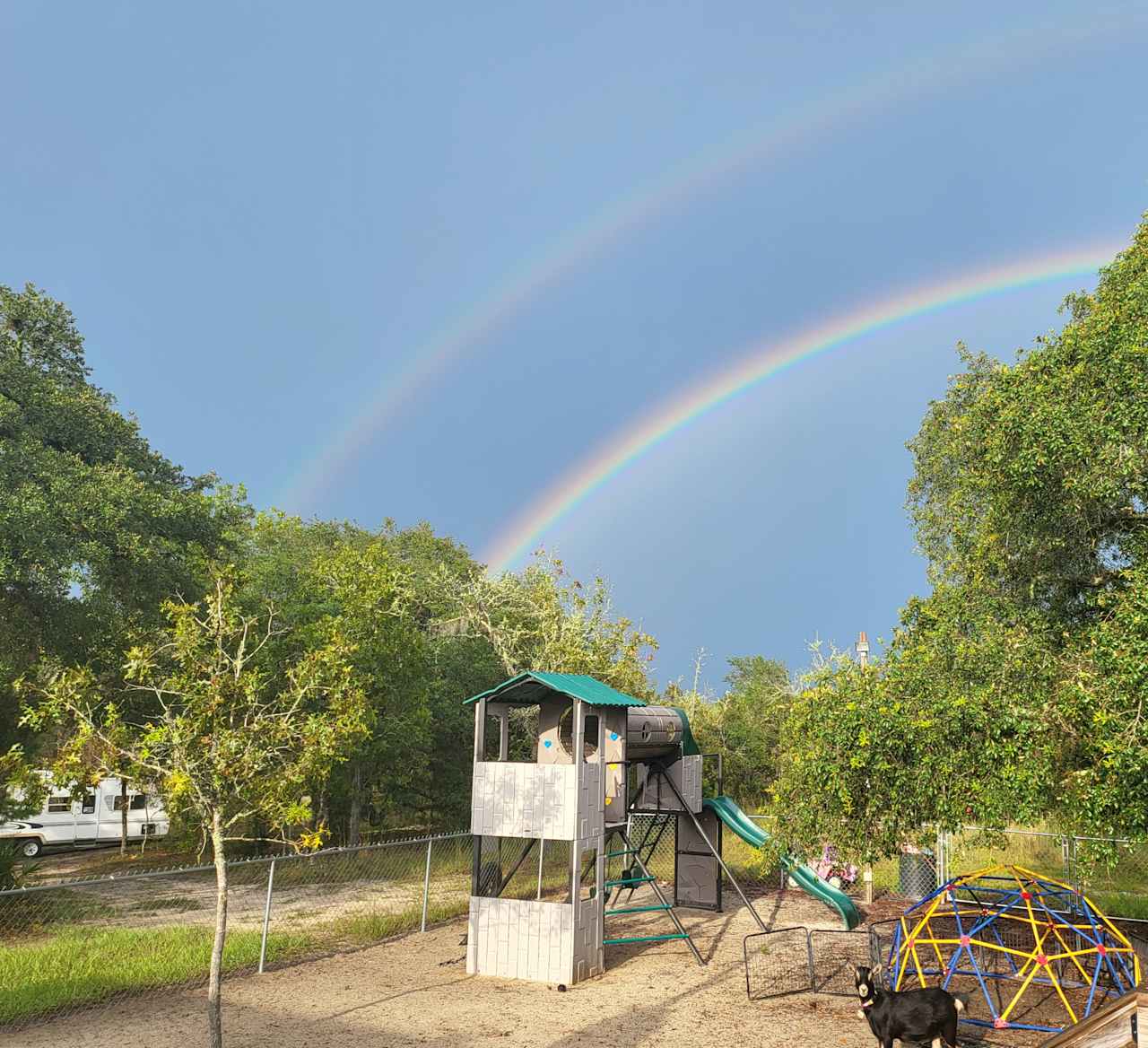 Happy Campers Rescue Ranch