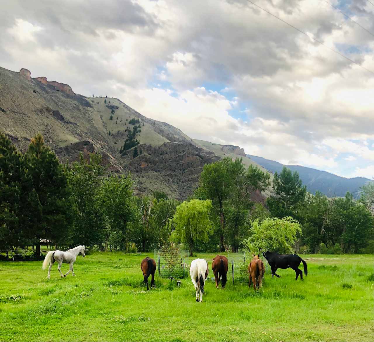 Cactus River Ranch RV