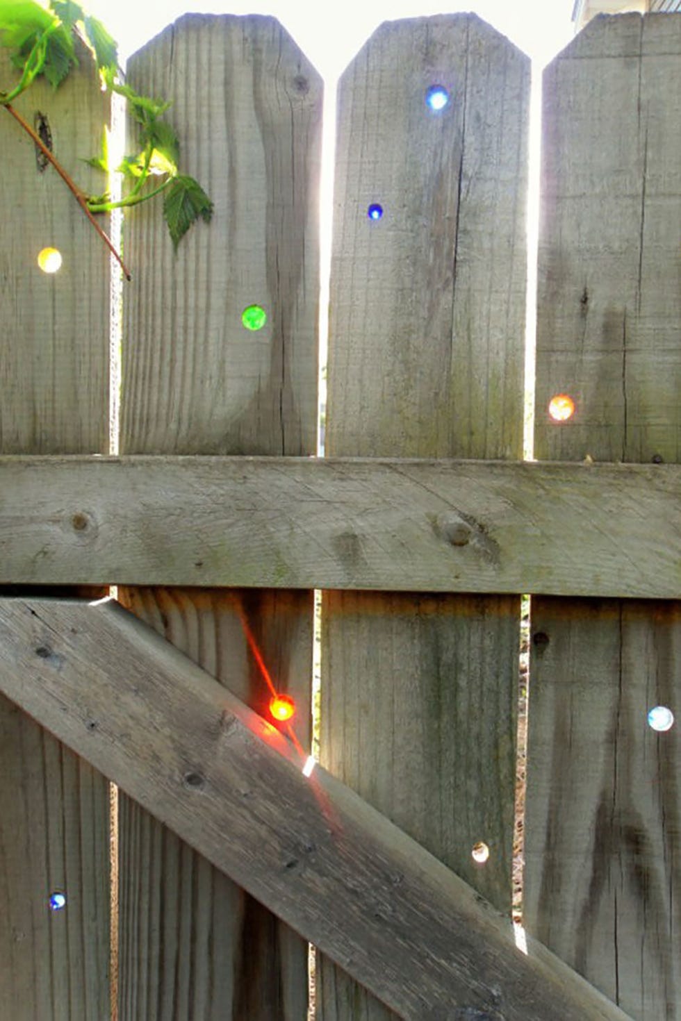 Wood, Light, Fence, Line, Sunlight, Tree, Hardwood, Home fencing, Wood stain, Plank, 