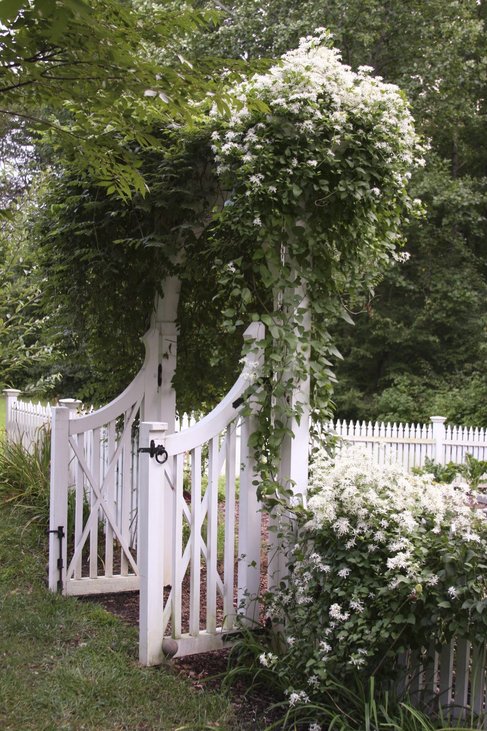 white fence garden gate