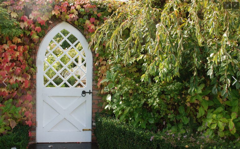 Arch, Architecture, Shrub, Leaf, Door, Garden, Plant, Botany, Wall, Gate, 