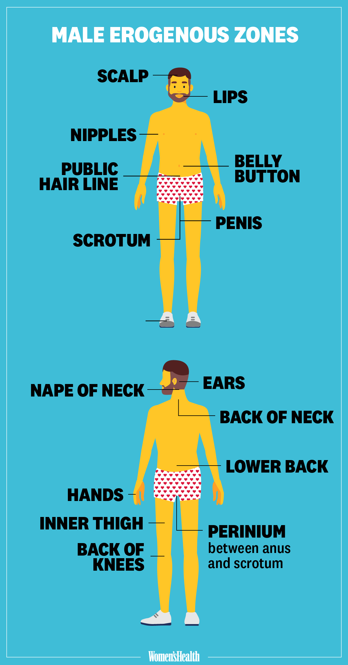 Erogenous Zones Chart Female: A Visual Reference of Charts | Chart Master