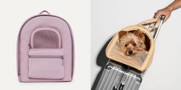 best airline approved pet carriers