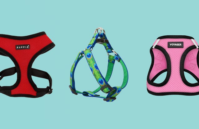 best dog harnesses for an easier walk