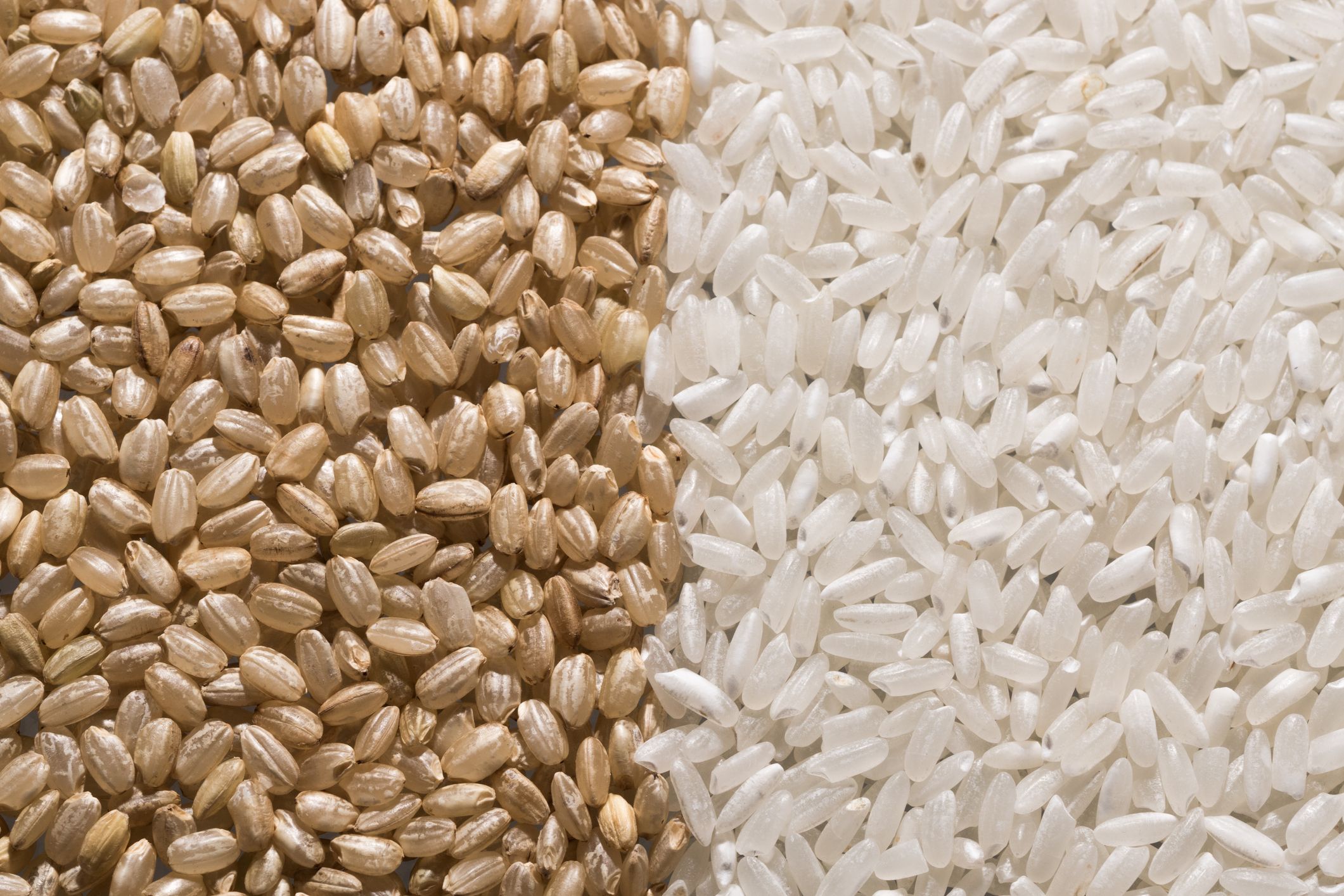 Decoding the brown rice vs white rice debate: A nuanced perspective