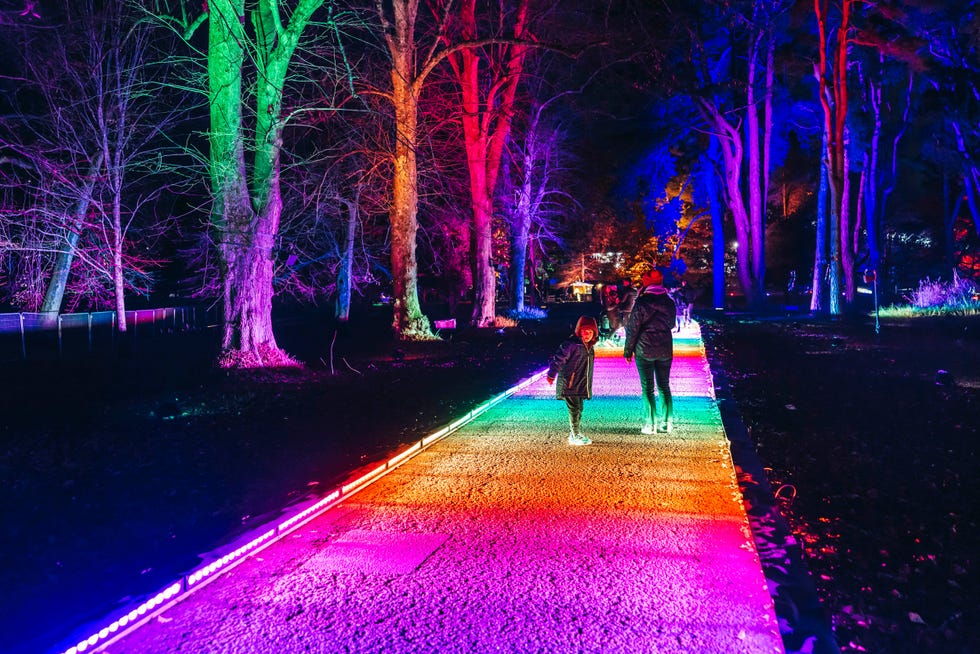 rainbow bridge light trail, christmas at bute park