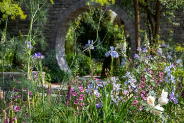 chelsea flower show 2024 sanctuary garden bridgerton garden designed by holly johnston