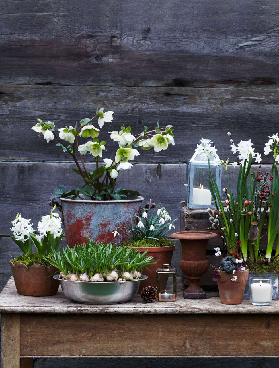 a rustic table displaying various potted flowers and decorative items