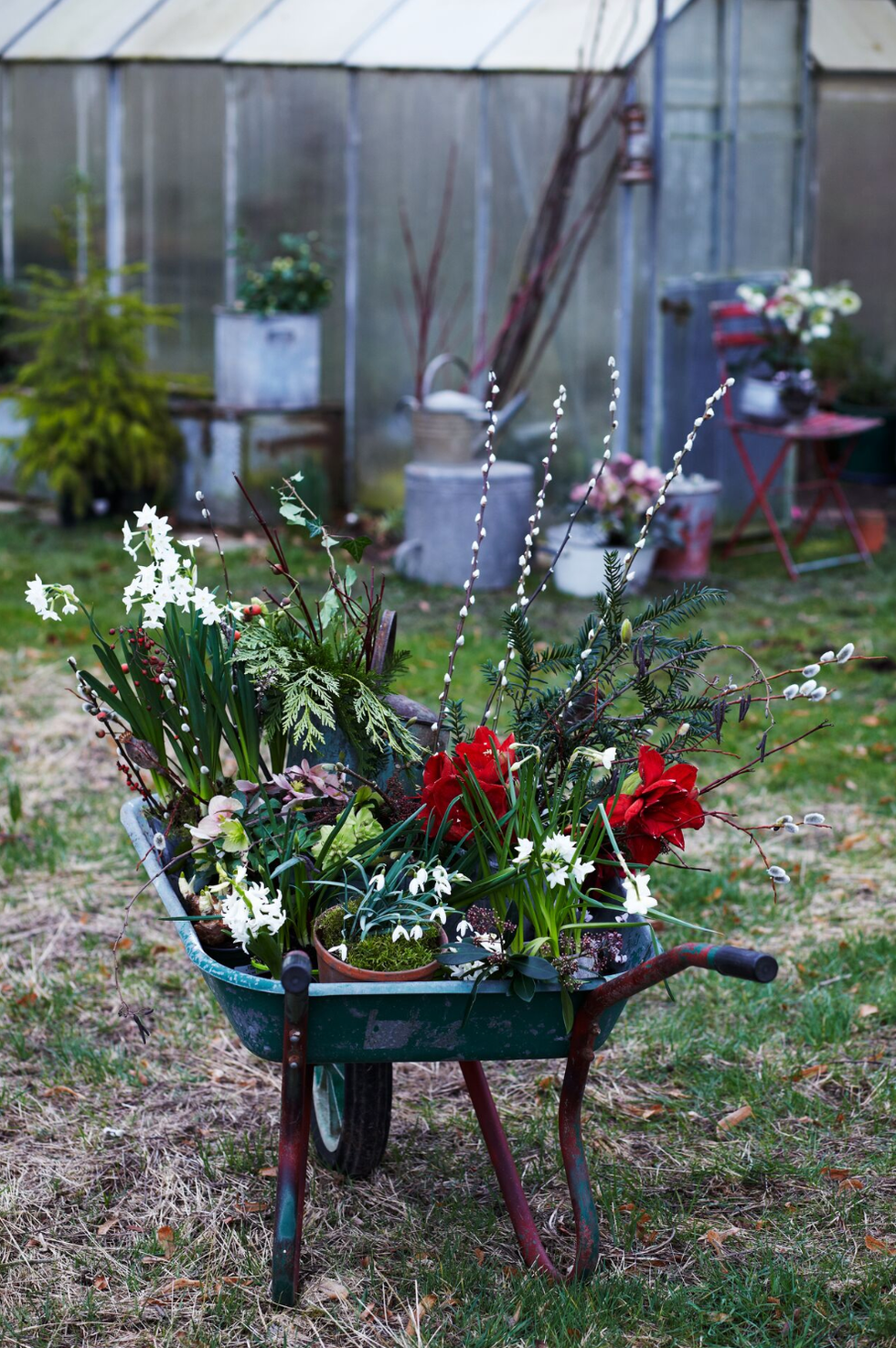 wheelbarrow filled with various types of flowers and greens in a garden setting