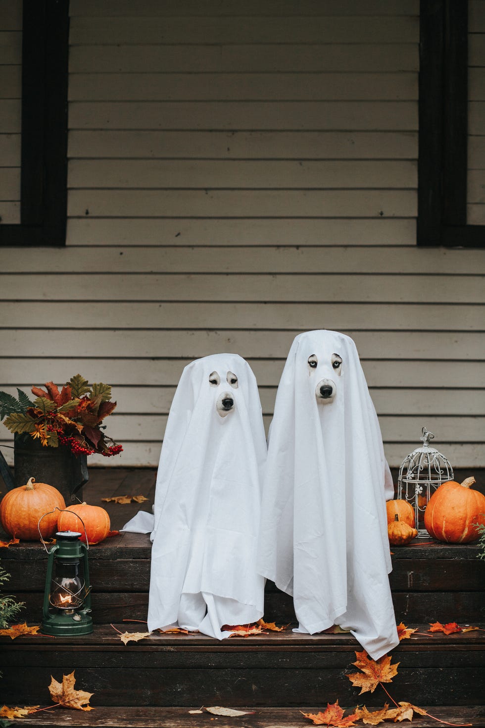 62 Best Outdoor Halloween Decorations to Try in 2024