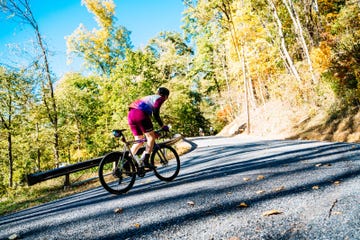 cyclist on a winding road surrounded by trees in autumn