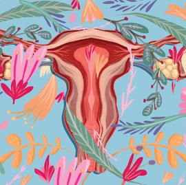 female reproductive system and flower