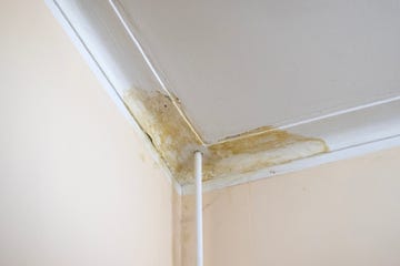 flooding rainwater, causing damage, peeling paint and mildew