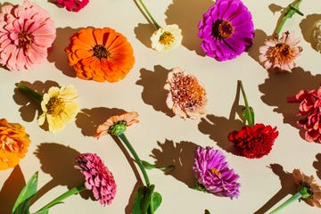 flowers composition floral pattern made of various bright autumn flowers on beige background flat lay, top view